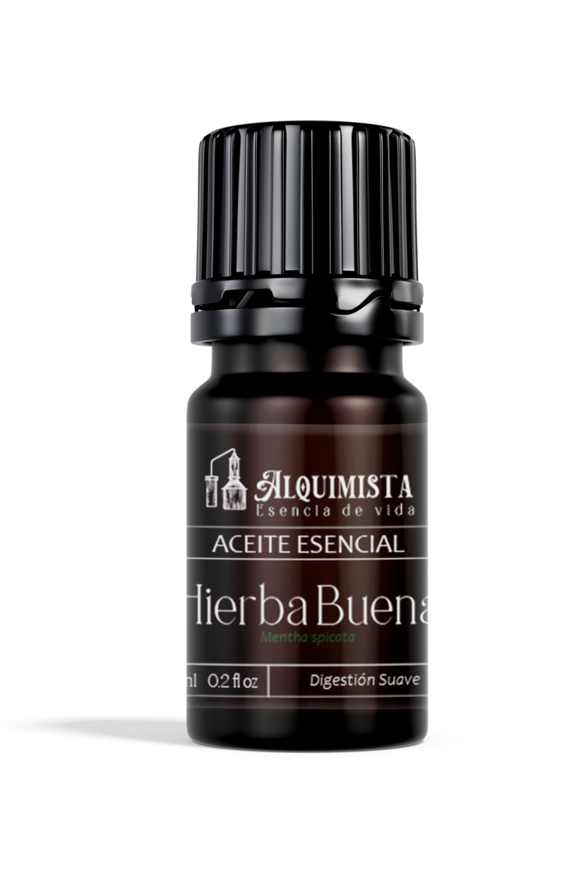 Mastershop Product Image
